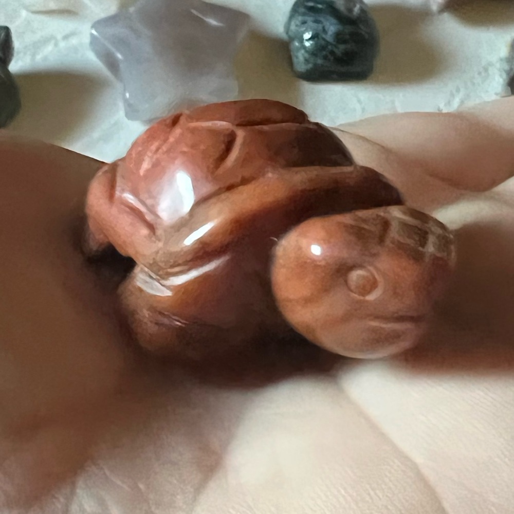 Turtle Carving - Picture 9 of 16